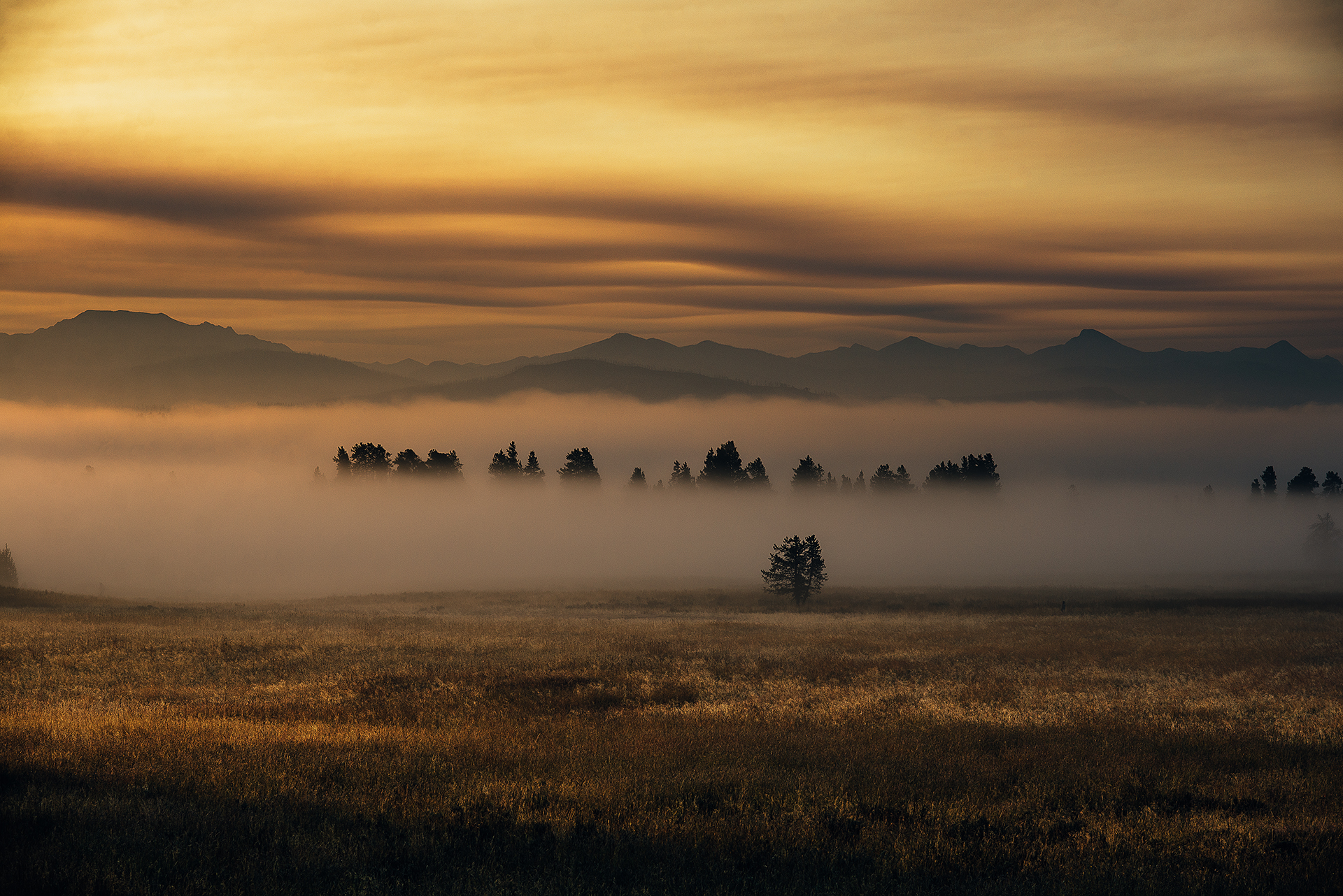 Foggy Morning in Yellowstone